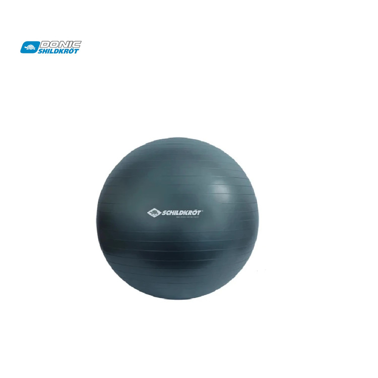 توپ جیم بال برند شیلدکروت SCHILDKROT GYM BALL